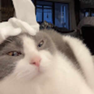 Meet your Posher, Ming